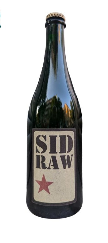Pascal Treichler - Sid Raw