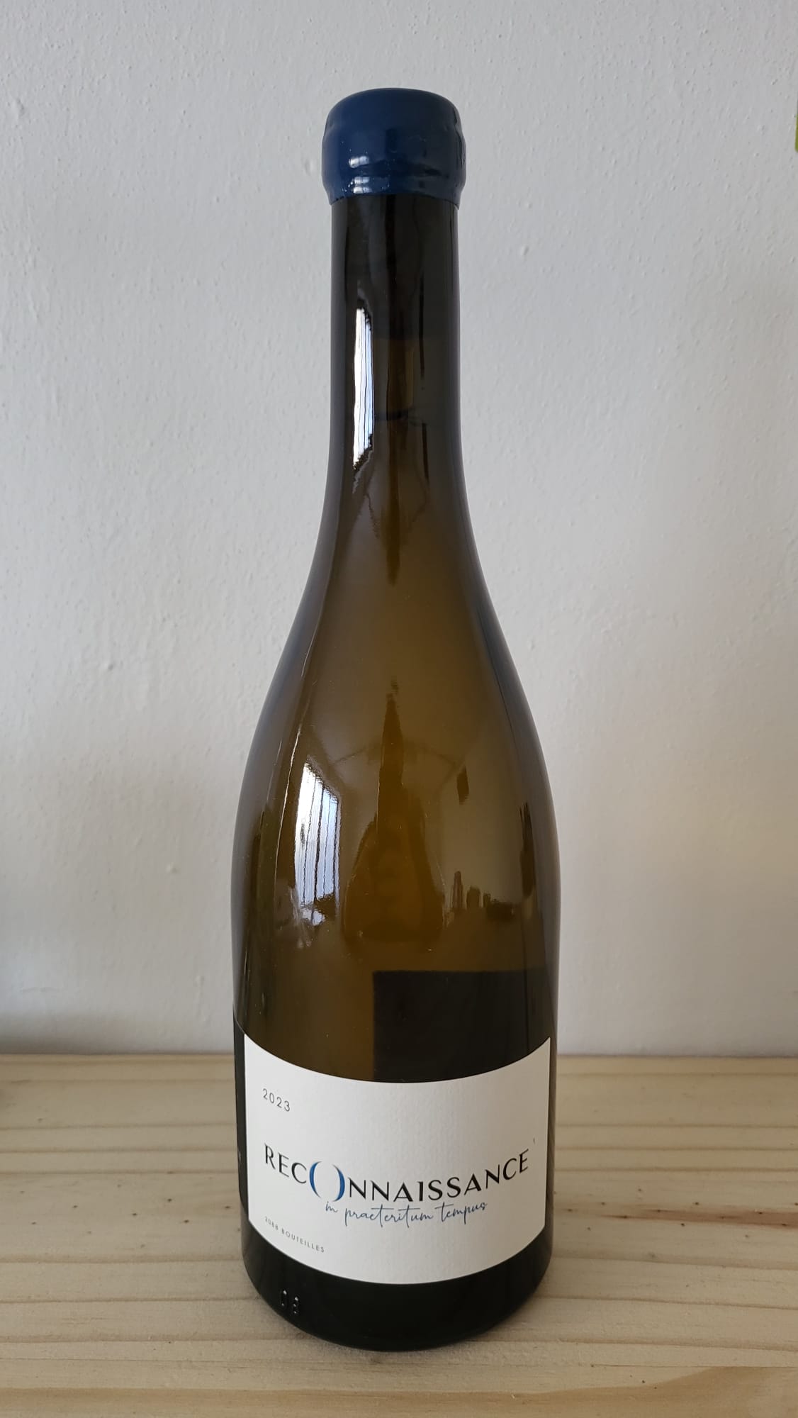 Aline Beauné - Montagny Reconnesance 2023