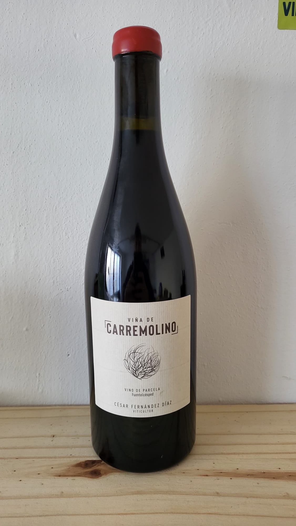 Cesar Fernandez Diaz - Carremolino 2021