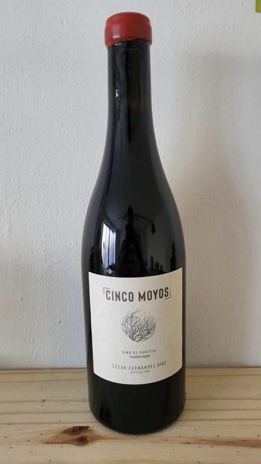 Cesar Fernandez Diaz - Cinco Moyos 2022